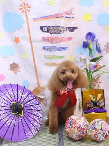 20240512このはちゃん